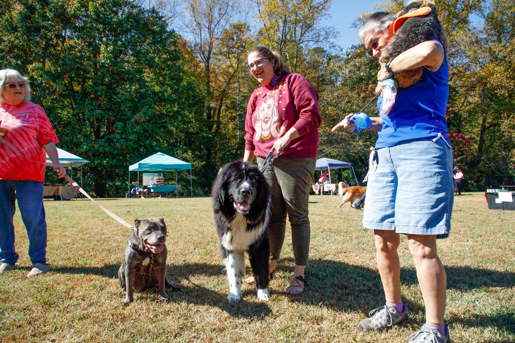 WSM Dogmore44 102322.jpg